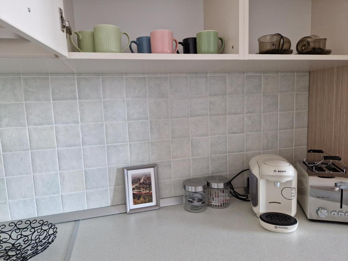 Central Skystudio Apartment Timisoara Bagian luar foto
