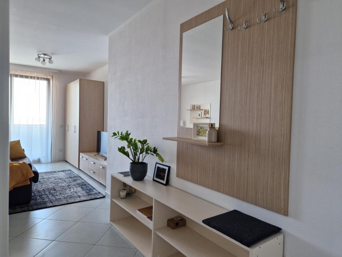 Central Skystudio Apartment Timisoara Bagian luar foto