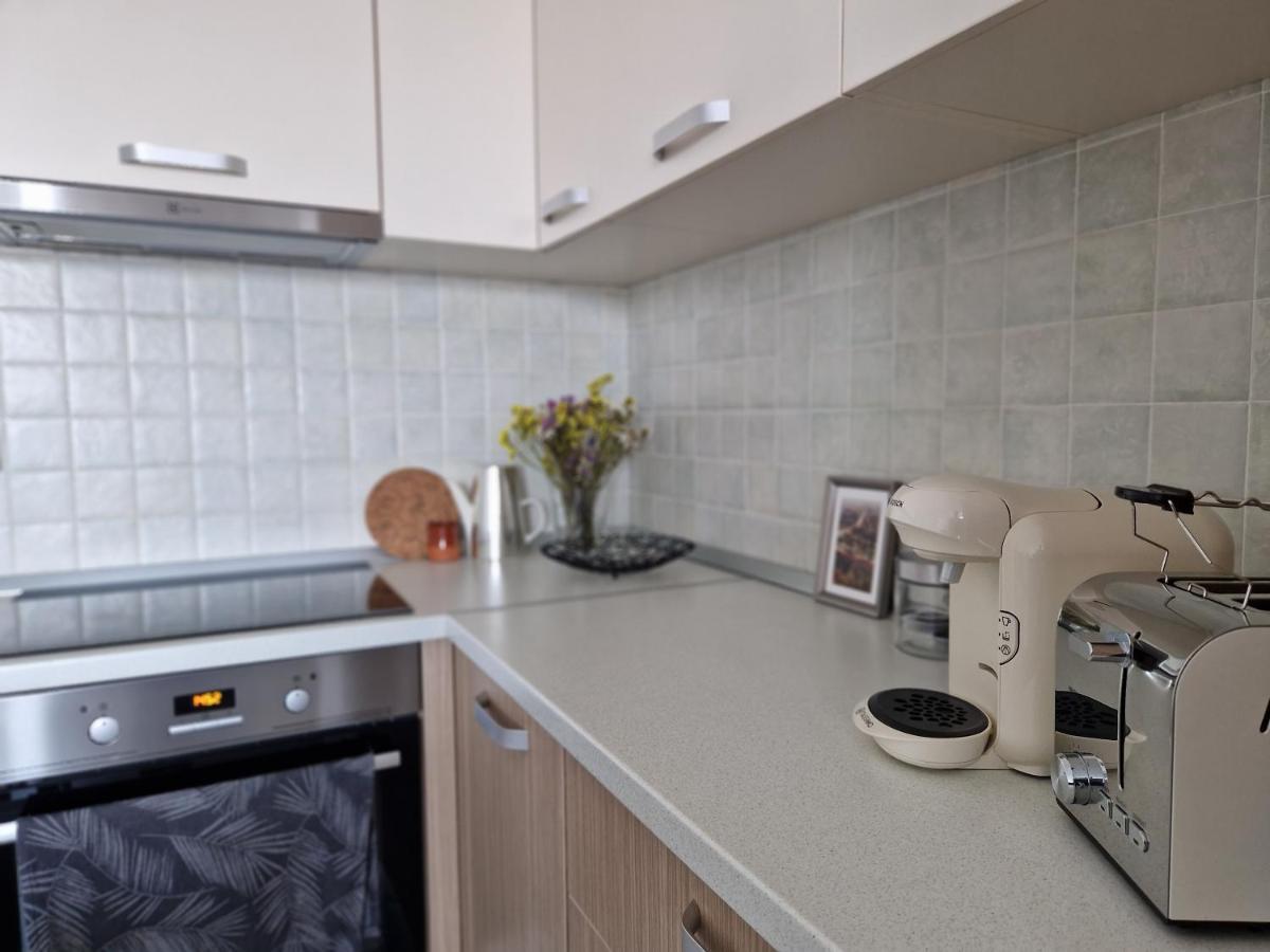 Central Skystudio Apartment Timisoara Bagian luar foto