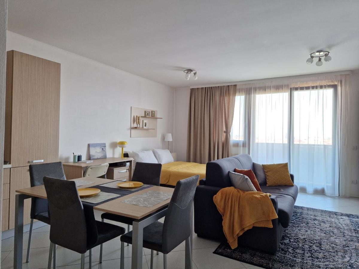 Central Skystudio Apartment Timisoara Bagian luar foto
